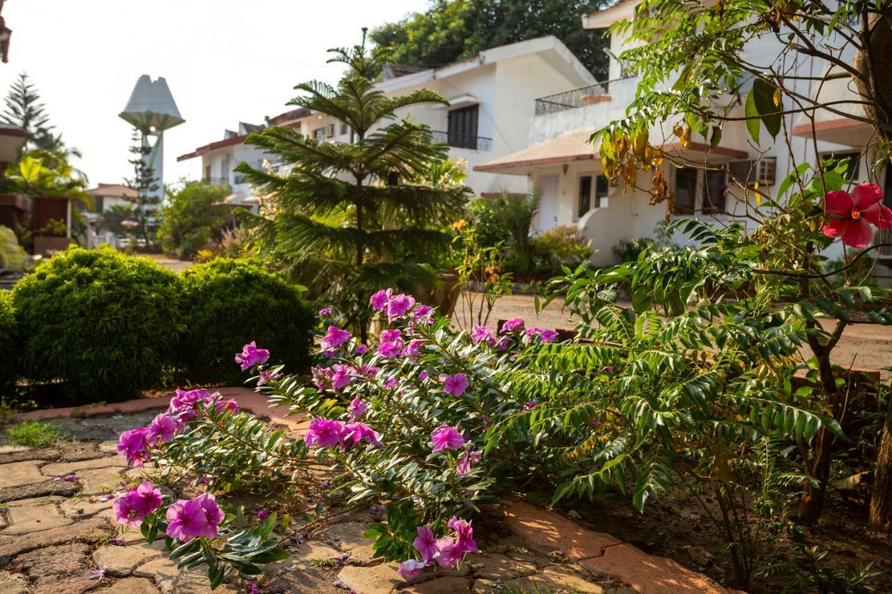 Aspirealconvilla-2Bhk-Beachtouch-Candolim Buitenkant foto